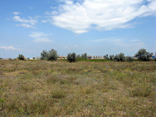 Obraz premium Landscape