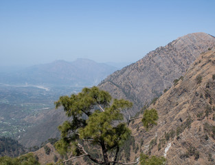 Naklejka premium Slopes of mountain with cypress tree in the foreground