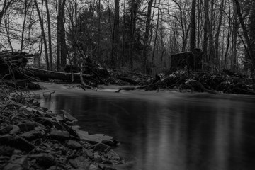 black and white autumn scene with Pennsylvania forest and stream 