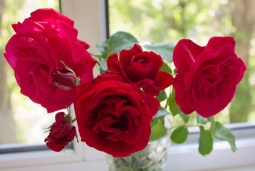 Red Roses.