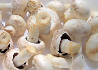 Mushrooms.