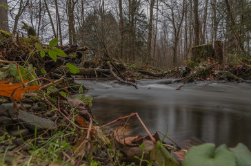 autumn background with leaves trees  and and old mossy stump 