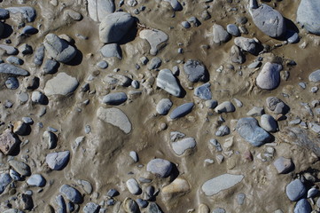 土の地面と小石