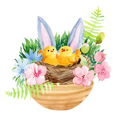 postcard, nest with yellow chicks, flowers, leaves, birds, easter watercolor on white background.