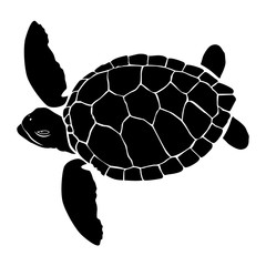 graphic sea turtle,vector illustration of sea turtle,vector of turtle design on a white background