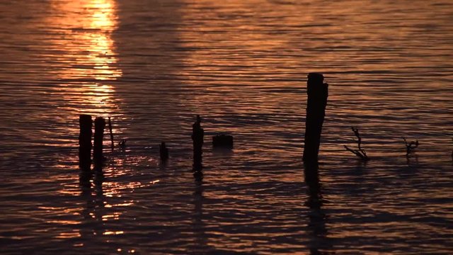 Soft sunlight reflecting on calm water surface with beautiful golden bokeh in the foreground, creating a peaceful dreamy atmosphere perfect for relaxation, wellness inspiration, and natural light aest