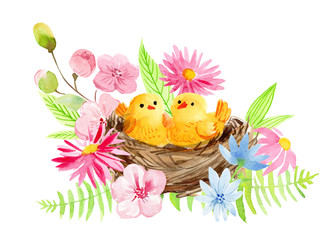 postcard, nest with yellow chicks, flowers, leaves, birds, easter watercolor on white background. © Hanna