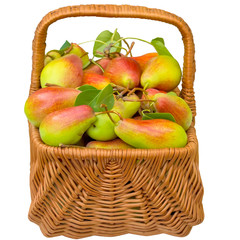 Basket with pears.