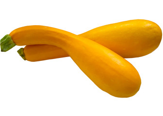 Squash isolated on white background.
