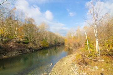 Maplewood Flats, Vancouver, November