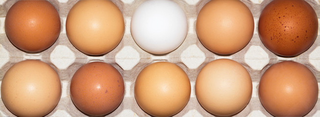 white egg in egg cells, among orange eggs