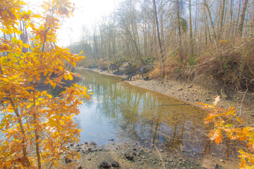 Maplewood Flats, Vancouver, November