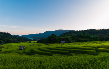 Fototapeta na wymiar beautiful landscape view of rice terraces 