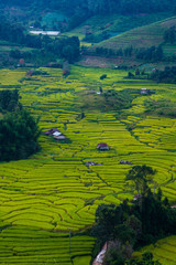 beautiful landscape view of rice terraces 