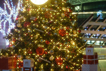 christmas tree in the city