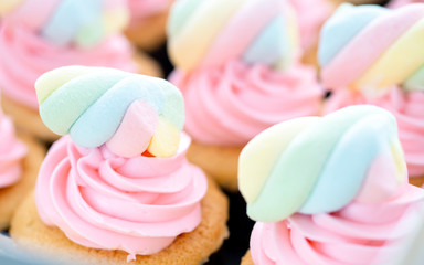 Group of cupcakes on tray.