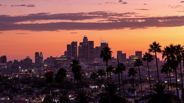 Downtown Los Angeles, California and Palm Trees at Sunset With Panning
