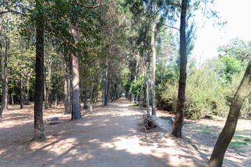 paisaje