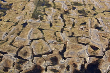 Polygonal tundra landscape in summer, Taymyr peninsula, aerial view