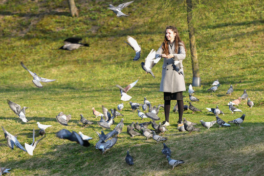 girl feeds pigeons. in the park in a sunny pagoda. caring for animals. Beautiful smiling woman feeding pigeons in the park during the day