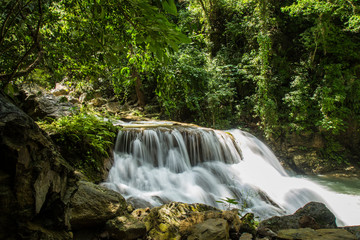 waterfall in the forest
