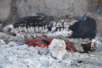 Log burning in a campfire barbecue