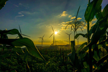 Wind turbine farm from clean energy. Wind power for electricity.