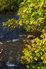 The view of the Shkumbin River in Albania