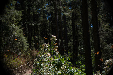 naturaleza