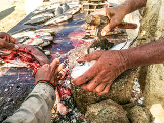 Obraz premium a fisherman is cutting fresh and healthy fishes at his stall in the local market in Pakistan 