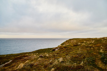 Norway landscape with rocky shore of the Northern sea in cloudy weather