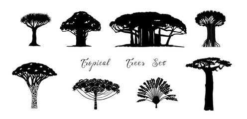 Set of tropical vector trees