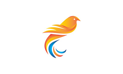 Flying bird dove logo vector
