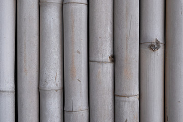 Old bamboo wall pale white form sunshine for a long time.