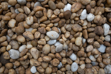 Large group of stone floor in the garden , stone wall texture.