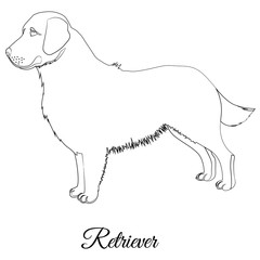 Golden retriever dog outline vector