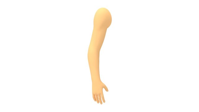 3d rendering of a isolated human arm in on white background