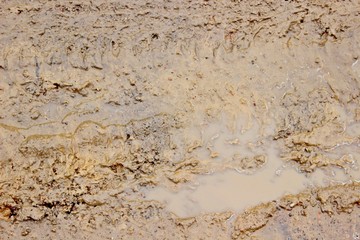 Puddle of dirt, close up, summer, nature, wheel print