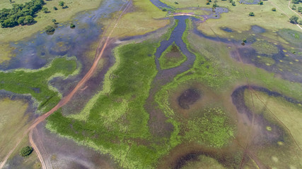 Amazing aerial view of typical Pantanal wetlands landscape crossed by dirt roads with lagoons,...