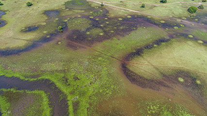 Amazing aerial view of typical Pantanal wetlands landscape with lagoons, rivers, meadows and trees, Mato Grosso, Brazil