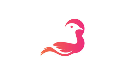 logo bird colorful letter b vector