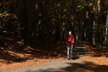 Fototapeta premium Young Boy Walking In The Forest