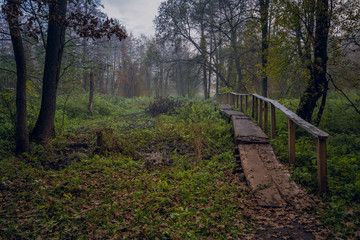 Obraz premium Nature in morning