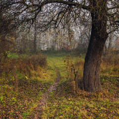 Obraz premium Sunrise on river