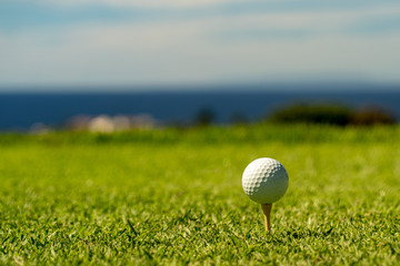 white golf ball on a tee with blurry background