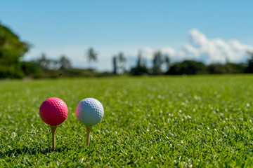 pink and white golf ball on a tee