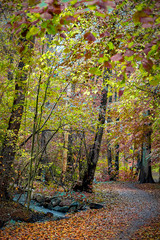 Helsingborg Jordbodalen Woodlands