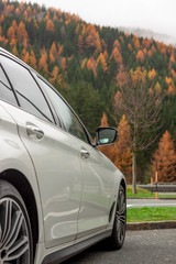 White car in front of autumn green yellow forest