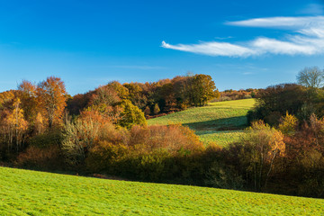 Hiking on the high weald on a beautiful November autumn morning somewhere between Warburton and Dallington in East Sussex, south east England UK