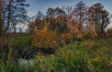 Sunrise on river
